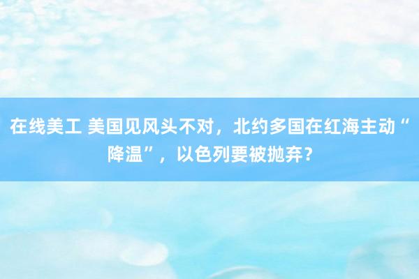 在线美工 美国见风头不对，北约多国在红海主动“降温”，以色列要被抛弃？