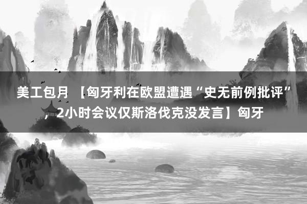 美工包月 【匈牙利在欧盟遭遇“史无前例批评”，2小时会议仅斯洛伐克没发言】匈牙